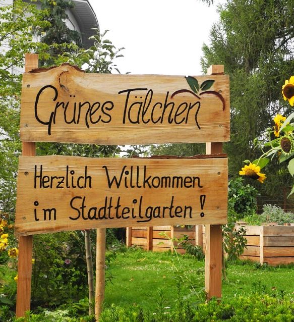 Nahaufnahme eines mobilen Backofens mit geöffneter Tür, in dem Holzstücke brennen.