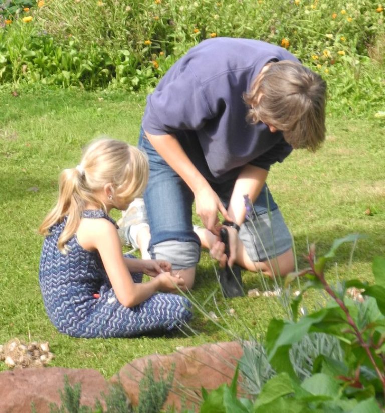 Ein Erwachsener und ein Mädchen arbeiten gemeinsam im Garten und kümmern sich um Pflanzen.